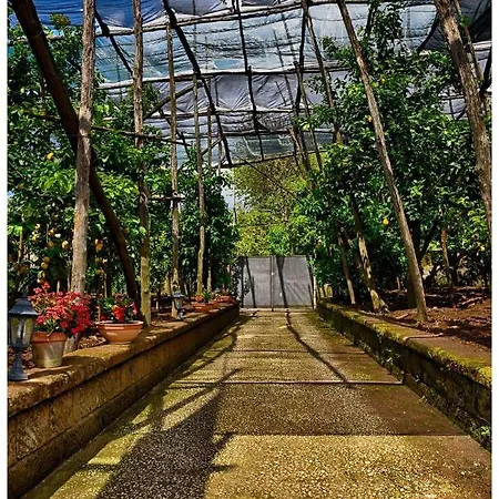 Bed and breakfast Soso Península Sorrentina