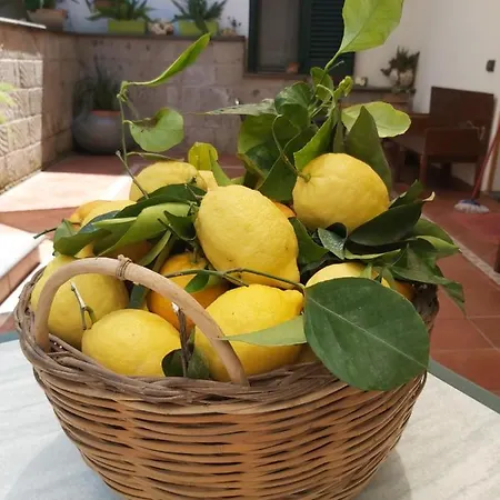 Soso Península Sorrentina