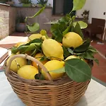 Soso Sorrento