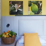 Soso Bed & Breakfast 4*