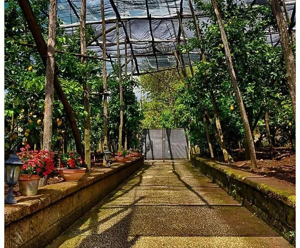 Bed & Breakfast Soso Sorrento