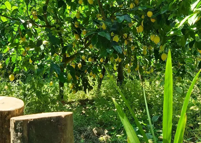 Bed & Breakfast Soso