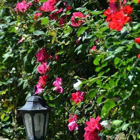 ベッド・アンド・ブレックファスト Soso ソレント