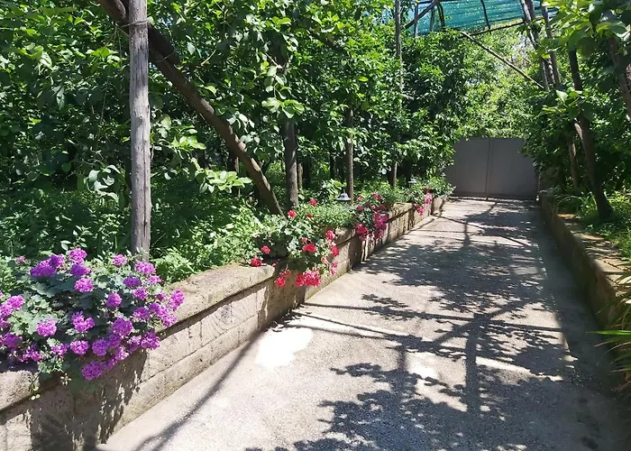 Soso לינה וארוחת בוקר